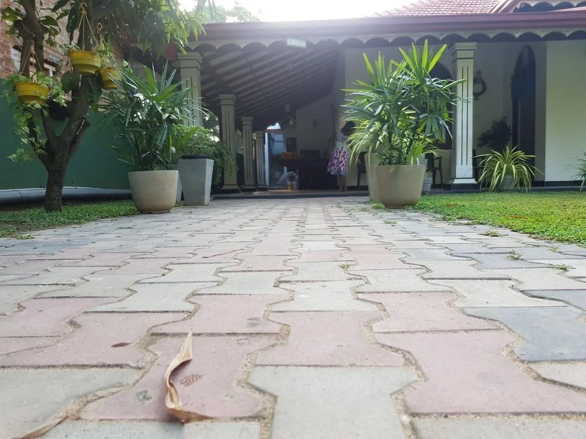 Pensión Hotel The Alexis'S Sea Negombo Sri Lanka